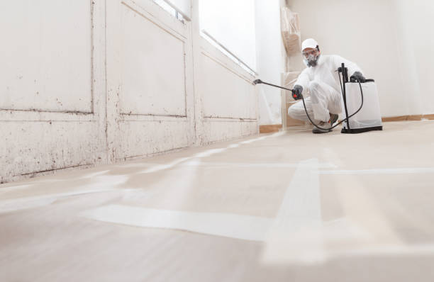 24/7 Emergency Basement Mold Remediation experts in Zarephath, NJ